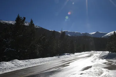 DSC_4922 (Large).JPG